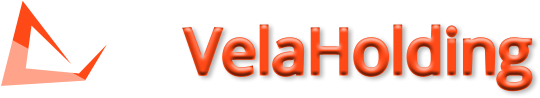 Vela Holding